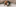 Nieuwbouw Rijen Looierskwartier Header Hond